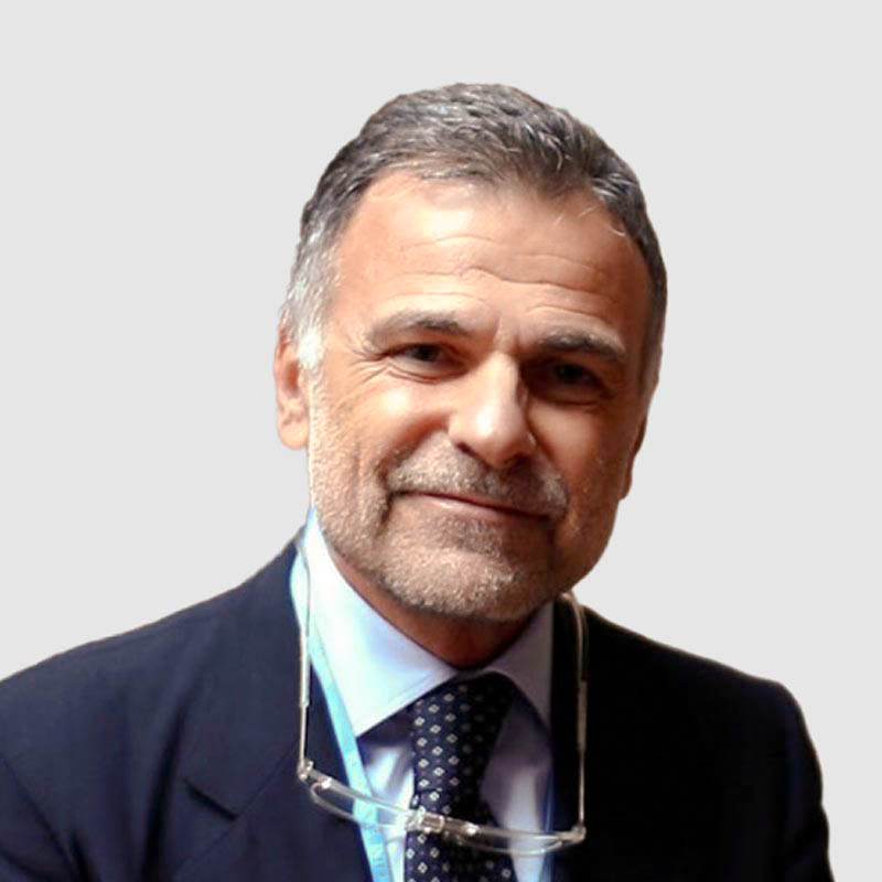 Prof. Renato Seracchioli
